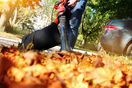 Leaf Cleanup Services