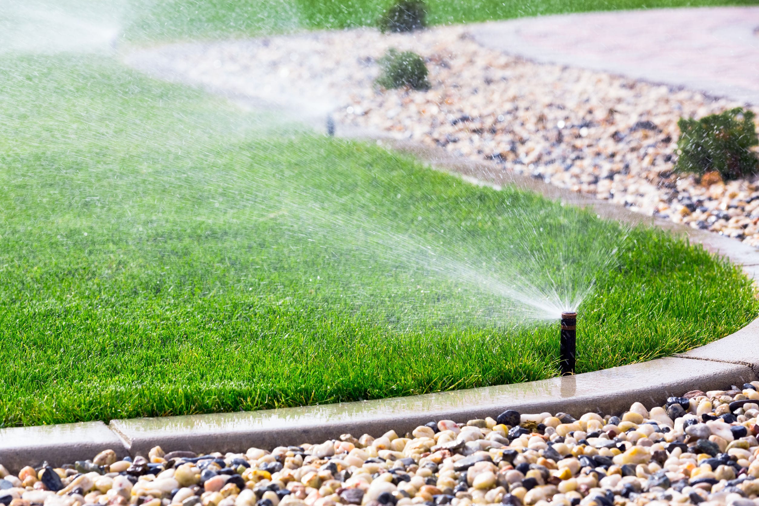 Ponds and Water Fixtures