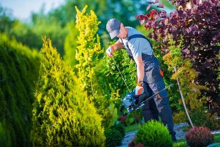 Landscaping and lawn care services