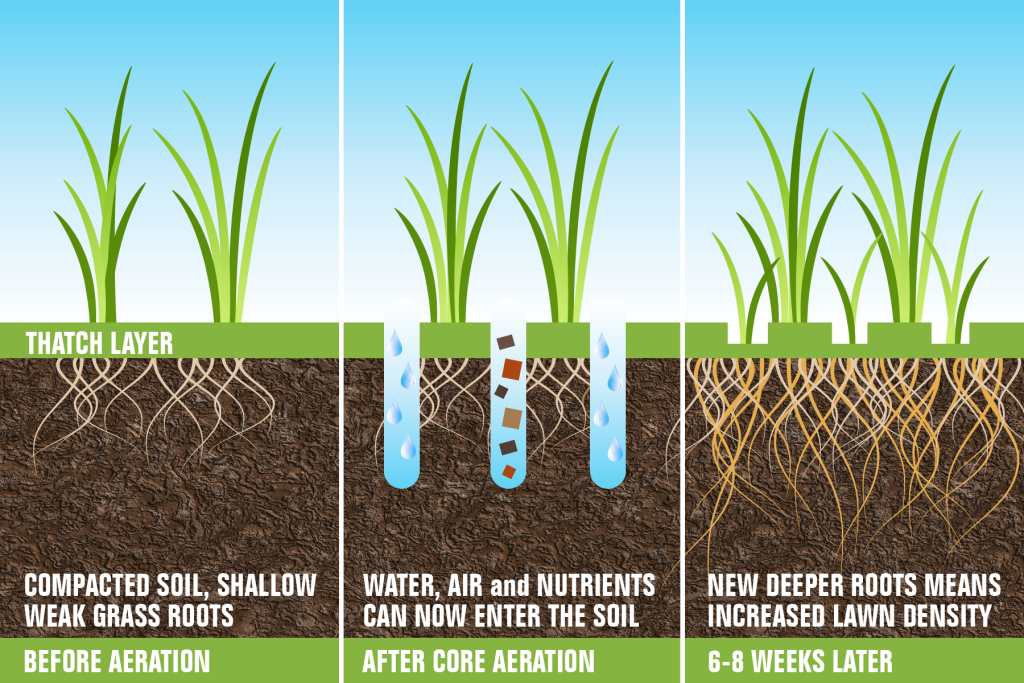 What is Aeration