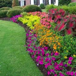 Flower Bed Maintenance in Kansas City