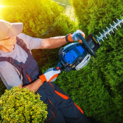 Hedge Trimming in Kansas City